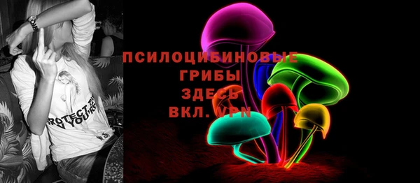 индика Гусев