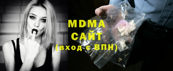 индика Гусев