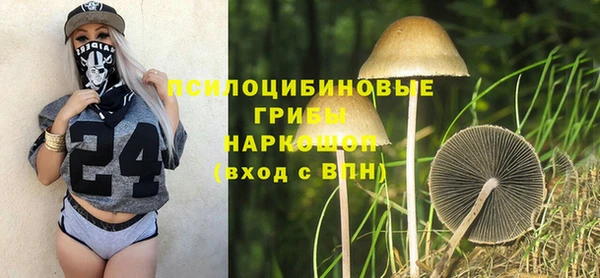 прущая мука Горняк