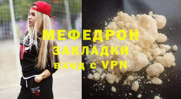 индика Гусев
