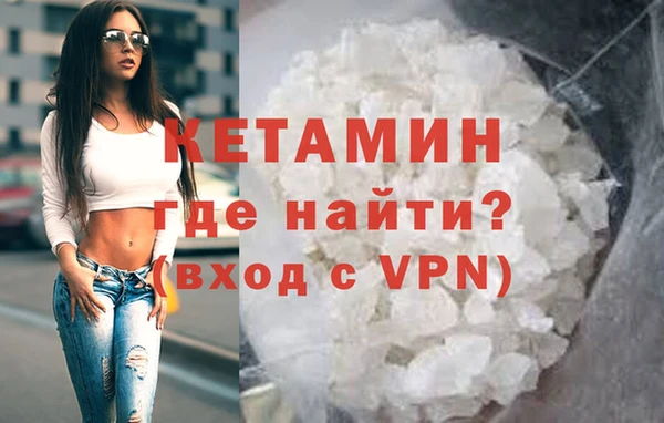 индика Гусев