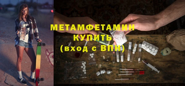 индика Гусев