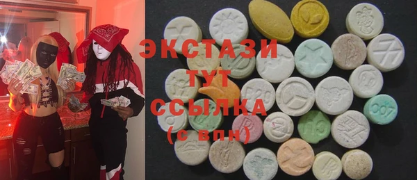 индика Гусев