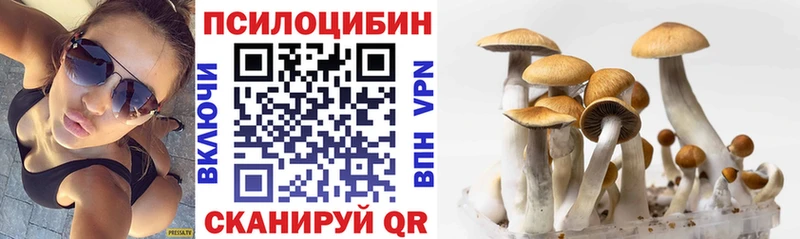 Псилоцибиновые грибы Psilocybine cubensis  Дубовка 